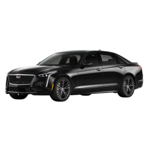 Business Sedan - Cadillac, Lincoln Continental, Lexus ES, Jaguar XF.